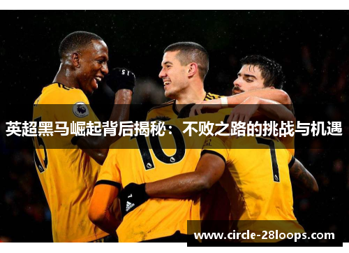 英超黑马崛起背后揭秘:不败之路的挑战与机遇 英超黑马崛起背后揭秘:不败之路的挑战与机遇