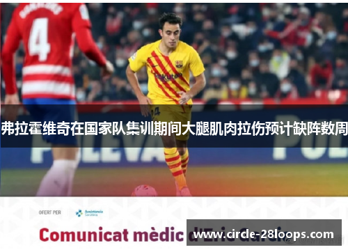 弗拉霍维奇在国家队集训期间大腿肌肉拉伤预计缺阵数周