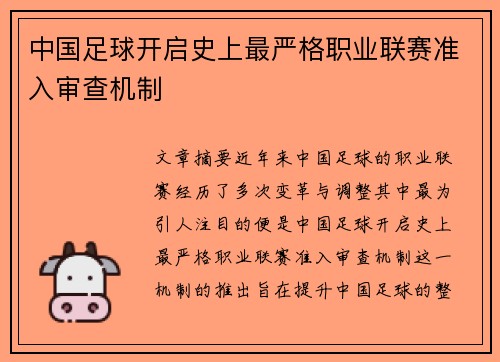 中国足球开启史上最严格职业联赛准入审查机制